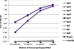 ELISA plate was coated with serially diluted Human IgA Kappa-UNLB and quantified. (Human IgA Isotype Control)