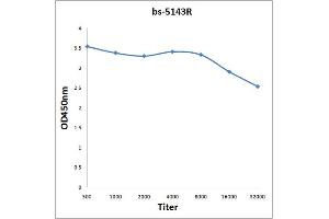Antigen: 0. (DP1 antibody)