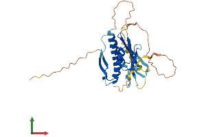 AlphaFold protein structure predicition of Human Recombinant HORMAD2 Protein, UniprotID Q8N7B1