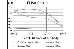 Black line: Control Antigen (100 ng), Purple line: Antigen(10 ng), Blue line: Antigen (50 ng), Red line: Antigen (100 ng), (DARPP32 antibody  (AA 95-204))