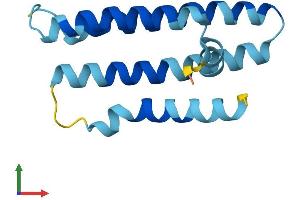 AlphaFold protein structure predicition of Mouse Recombinant Tmem203 Protein, UniprotID Q8R235 (TMEM203 Protein (AA 1-136) (His tag))