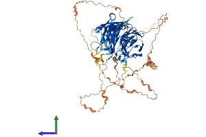 AlphaFold protein structure predicition of Mouse Recombinant Fbxo42 Protein, UniprotID Q6PDJ6