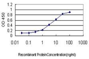 Detection limit for recombinant GST tagged MEOX2 is approximately 0. (MEOX2 antibody  (AA 1-303))