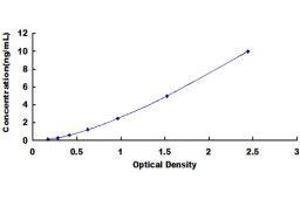ELISA image for Microtubule Associated serine/threonine Kinase 2 (MAST2) ELISA Kit (ABIN423300)
