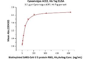 Immobilized Cynomolgus ACE2, His Tag (ABIN6952617) at 2 μg/mL (100 μL/well) can bind Biotinylated SARS-CoV-2 S protein RBD, His,Avitag (ABIN6952456) with a linear range of 2-78 ng/mL (QC tested). (ACE2 Protein (His tag))