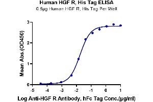 ELISA image for Met Proto-Oncogene (MET) (AA 25-932) protein (His-Avi Tag) (ABIN7275248)