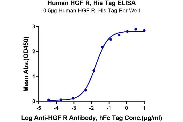 c-MET Protein (AA 25-932) (His-Avi Tag)