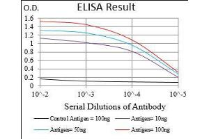 Black line: Control Antigen (100 ng), Purple line: Antigen(10 ng), Blue line: Antigen (50 ng), Red line: Antigen (100 ng), (RPS6KA2 antibody  (AA 415-734))