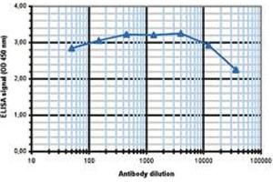ELISA is a quantitative method used to determine the titer of the antibody using a serial dilution of antibody against POU5F1. (OCT4 antibody)