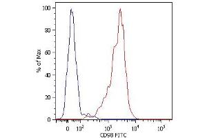 Surface staining of human peripheral blood cells with anti-human CD98 (MEM-108) FITC. (SLC3A2 antibody)