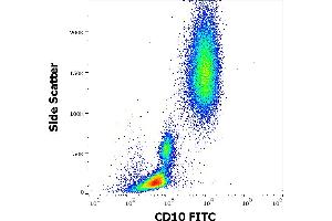 Flow cytometry surface staining pattern of human peripheral whole blood stained using anti-human CD10 (MEM-78) FITC antibody (20 μL reagent / 100 μL of peripheral whole blood). (MME antibody  (FITC))