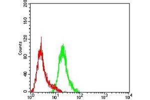 Flow cytometric analysis of Hela cells using PGR mouse mAb (green) and negative control (red).