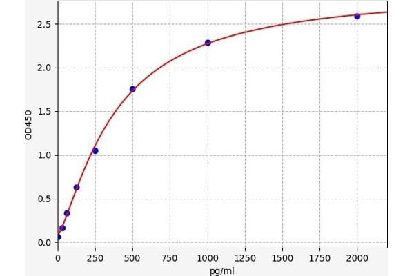 CCKBR ELISA Kit