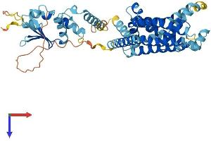 AlphaFold protein structure predicition of Human Recombinant KCNG2 Protein, UniprotID Q9UJ96 (Kcng2 Protein (AA 1-466) (His tag))