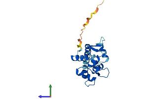 AlphaFold protein structure predicition of Human Recombinant CETN1 Protein, UniprotID Q12798 (Centrin 1 Protein (AA 1-172) (His tag))