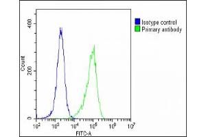 Flow Cytometry (FACS) image for anti-Signal Transducer and Activator of Transcription 1, 91kDa (STAT1) (AA 717-745), (C-Term) antibody (ABIN1881847)