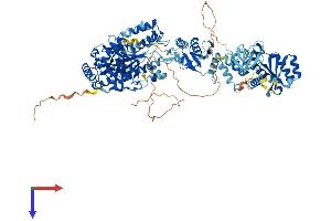 Endogenous Retrovirus Group K, Member 19 (ERVK-19) (AA 1-959) protein (His tag)