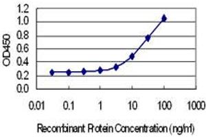 Detection limit for recombinant GST tagged SYT7 is 1 ng/ml as a capture antibody. (SYT7 antibody  (AA 41-139))