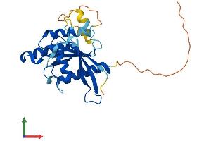 AlphaFold protein structure predicition of Mouse Recombinant Rabl3 Protein, UniprotID Q9D4V7 (RABL3 Protein (AA 1-236) (His tag))