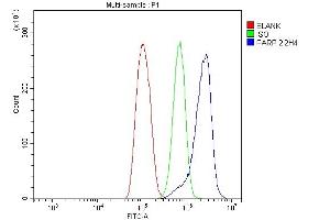 Flow Cytometry analysis of THP-1 cells using anti-PARP antibody (ABIN7602278). (PARP1 antibody  (AA 670-858))