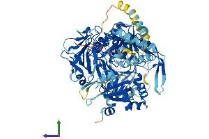 Protein Structure (PS) image for Acyl-CoA Synthetase Long-Chain Family Member 3 (Acsl3) (AA 1-720) protein (His tag) (ABIN7564966)