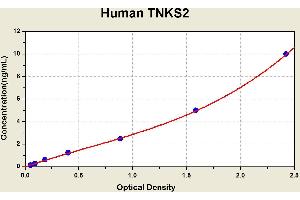 Diagramm of the ELISA kit to detect Human TNKS2with the optical density on the x-axis and the concentration on the y-axis.