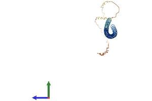 Protein Structure (PS) image for Nucleoporin 62kDa C-terminal Like (NUP62CL) (AA 1-184) protein (His tag) (ABIN7549608)