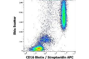 Flow cytometry surface staining pattern of human peripheral whole blood stained using anti-human CD16 (MEM-154) Biotin antibody (concentration in sample 0,6 μg/mL, Streptavidin APC). (CD16 antibody  (Biotin))