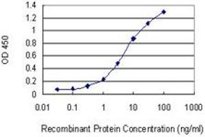 Detection limit for recombinant GST tagged CDS1 is 0. (CDS1 antibody  (AA 1-98))