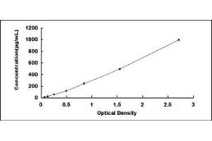 CRHBP ELISA Kit