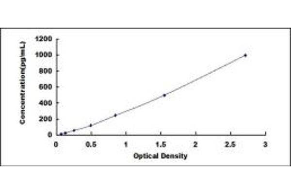 CRHBP ELISA Kit