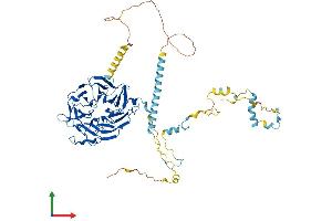 AlphaFold protein structure predicition of Human Recombinant WDR70 Protein, UniprotID Q9NW82 (WDR70 Protein (AA 1-654) (His tag))