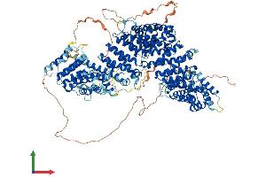 AlphaFold protein structure predicition of Human Recombinant HEATR6 Protein, UniprotID Q6AI08