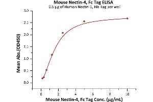 ELISA image for Poliovirus Receptor-Related 4 (PVRL4) (AA 31-347) (Active) protein (Fc Tag) (ABIN7013666)