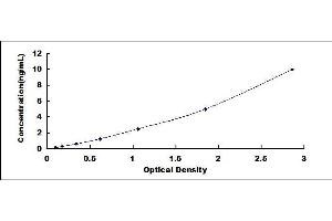 Uromodulin (UMOD) ELISA Kit
