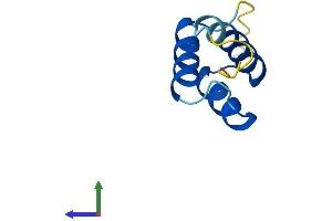 Protein Structure (PS) image for HOP Homeobox (HOPX) (AA 1-73) protein (Fc Tag) (ABIN7559669)