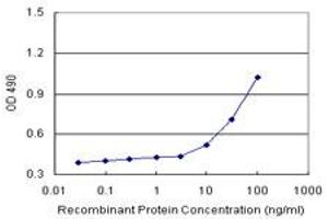 HMBS (Human) Matched Antibody Pair