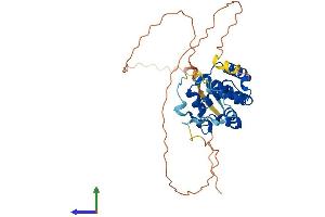 Protein Structure (PS) image for Speedy Homolog A (SPDYA) (AA 1-313) protein (His tag) (ABIN7546269)