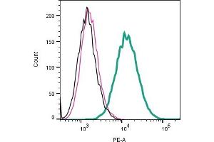 Cell surface detection of Leptin Receptor by indirect flow cytometry in live intact mouse J774 macrophage cell line: + goat-anti-rabbit-PE. (Leptin Receptor antibody  (Extracellular))