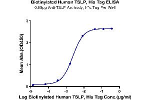 Immobilized Anti-TSLP Antibody, hFc Tag at 0.