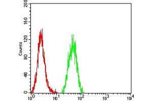 Flow cytometric analysis of Hela cells using SALL4 mouse mAb (green) and negative control (red). (SALL4 antibody  (AA 96-359))