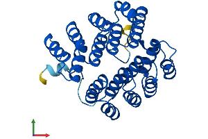 AlphaFold protein structure predicition of Mouse Recombinant Dohh Protein, UniprotID Q99LN9