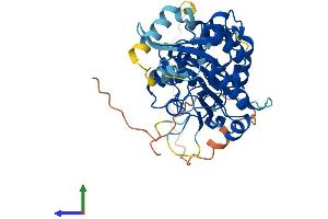 Protein Structure (PS) image for DNA (Cytosine-5-)-Methyltransferase 3 Like (TRDMT1) (AA 1-421) protein (His tag) (ABIN7560680)