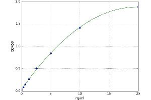 Tryptophan Hydroxylase 1 (TPH1) ELISA Kit