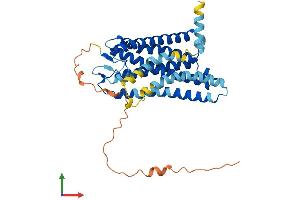 AlphaFold protein structure predicition of Human Recombinant OR5AU1 Protein, UniprotID Q8NGC0 (OR5AU1 Protein (AA 1-362) (His tag))