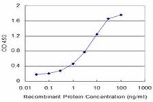 Detection limit for recombinant GST tagged SLC1A2 is approximately 0. (SLC1A2 antibody  (AA 160-239))