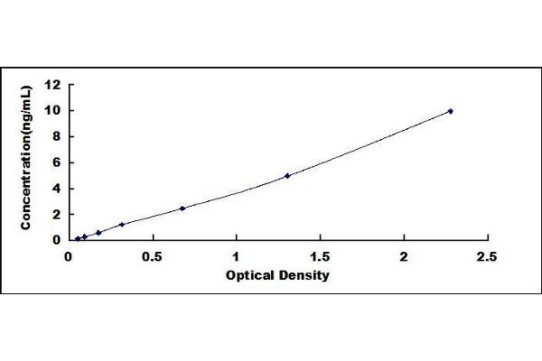 ABCB5 ELISA Kit