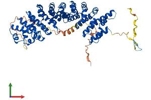 AlphaFold protein structure predicition of Human Recombinant KPNA6 Protein, UniprotID O60684