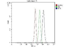 anti-Fms-Related tyrosine Kinase 3 (FLT3) (AA 62-295) antibody
