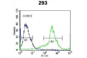 Flow Cytometry (FACS) image for anti-Kallikrein 6 (KLK6) antibody (ABIN5022442) (Kallikrein 6 antibody)